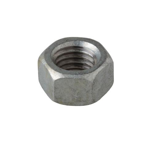 Stainless Steel Nuts