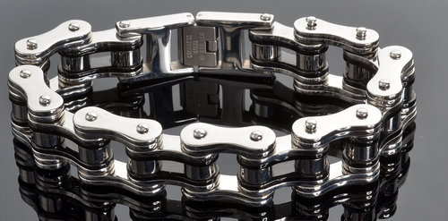 Stainless Steel Roller Chain