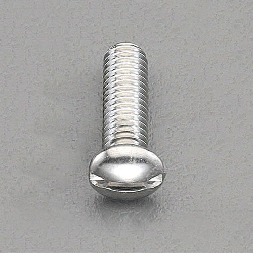 Polished Stainless Steel Round Head Screw