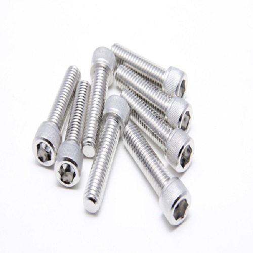 Stainless Steel Screw