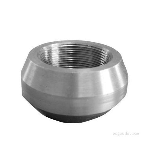 Stainless Steel Sockolet for Structure Pipe