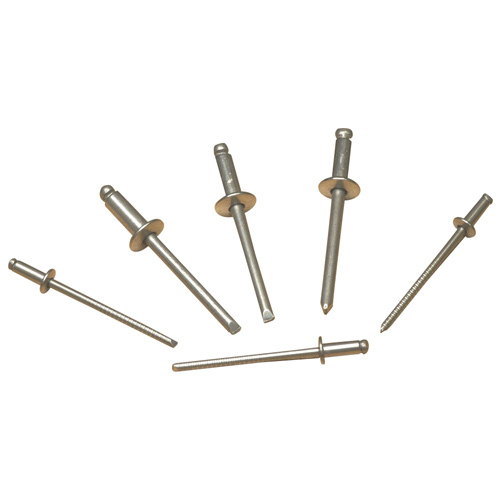 Stainless Steel Rivet