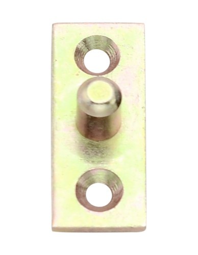 Striker For Baggage Box Pin Type