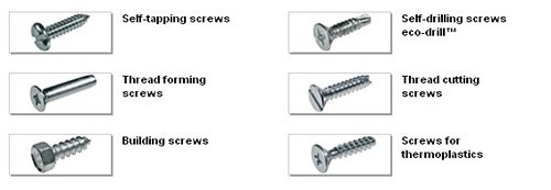 Tapping Thread Forming Screw