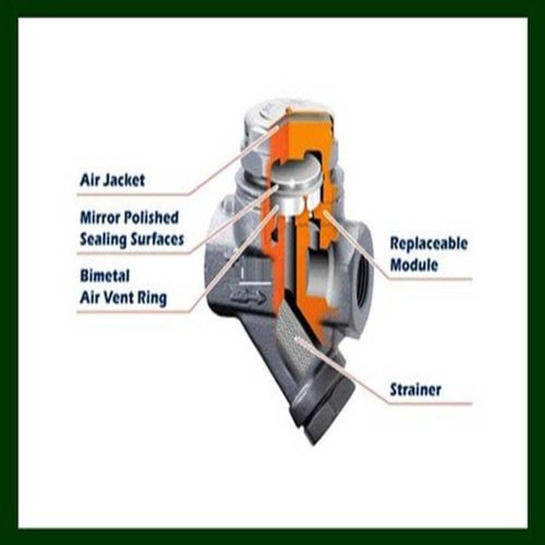 Thermodynamic Steam Trap Manufacturer