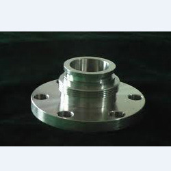 Titanium Flanges