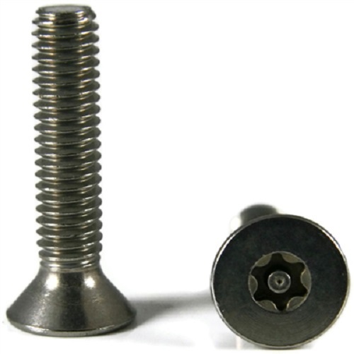 Torx Screw