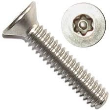 Torx Screws