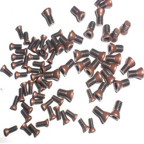 Torx Screw