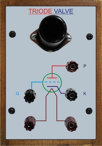 Triode Valve