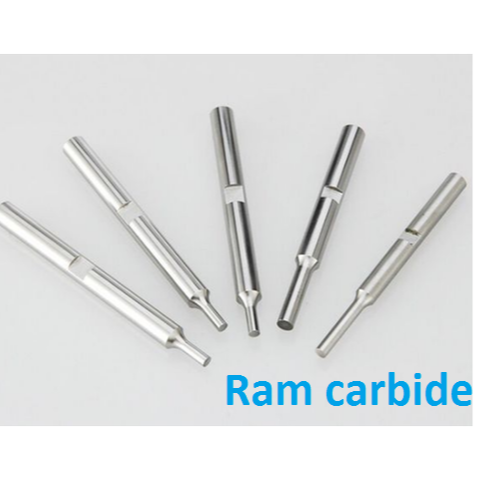 Tungsten Carbide Ram Punches