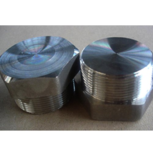 Stainless Steel Threaded Plug