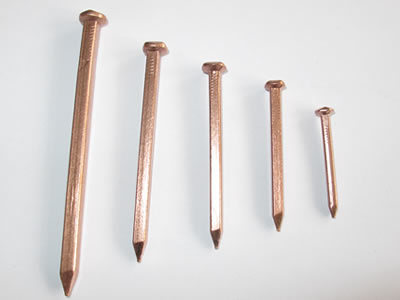 Vastu Copper Nails