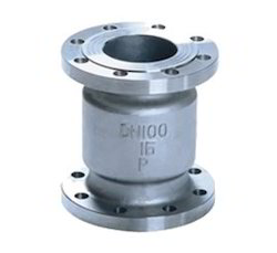 Vertical Check Valve