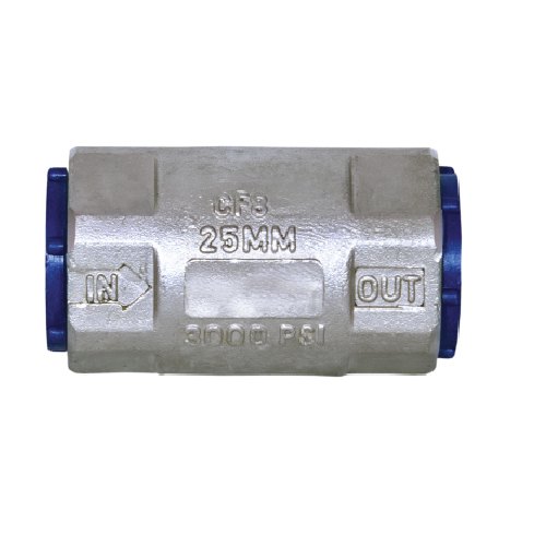 SS Vertical Check Valve, Valve Size: 25 Mm