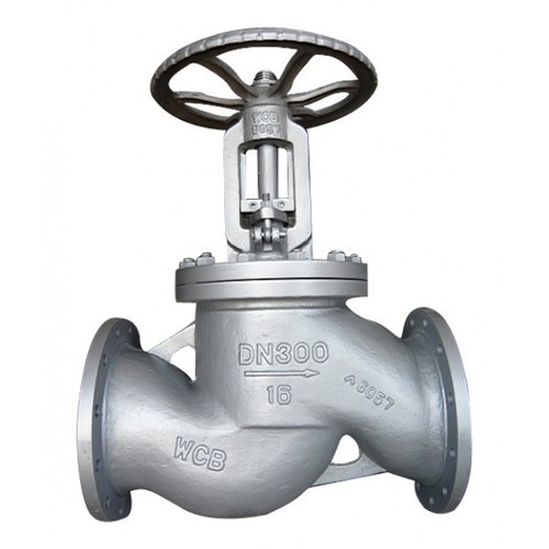 SDNR Silver WJ Steam Cum Non Return Valve